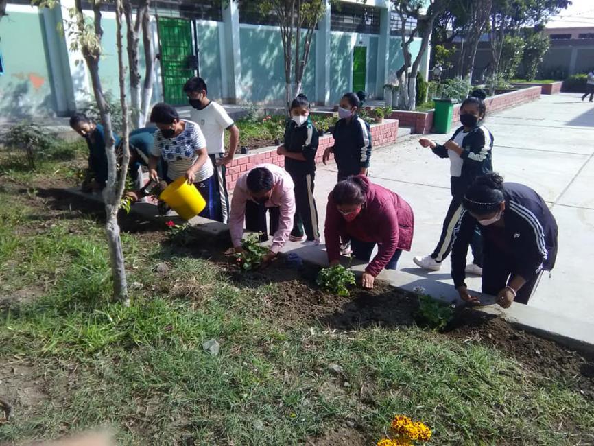 Fomentando las áreas verdes en la ie 6059 sagrado corazón de jesús de vmt