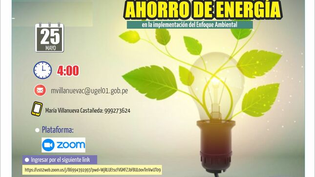 Videoconferencia sobre la importancia del ahorro de energía en la implementación del enfoque ambiental en las ii.ee. de educación básica
