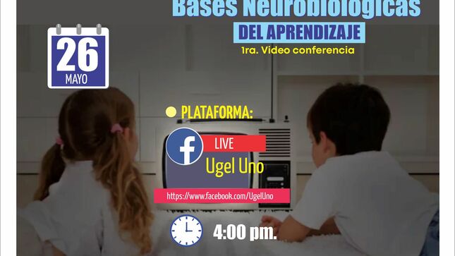 1° videoconferencia bases neurobiologicas del aprendizaje