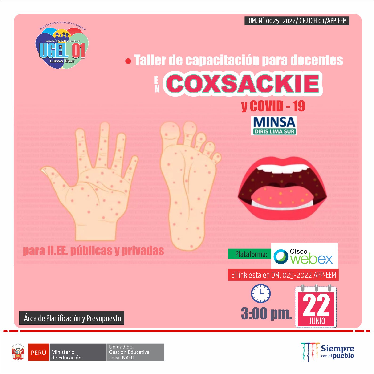 Taller de capacitación para docentes en coxsackie y covid – 19