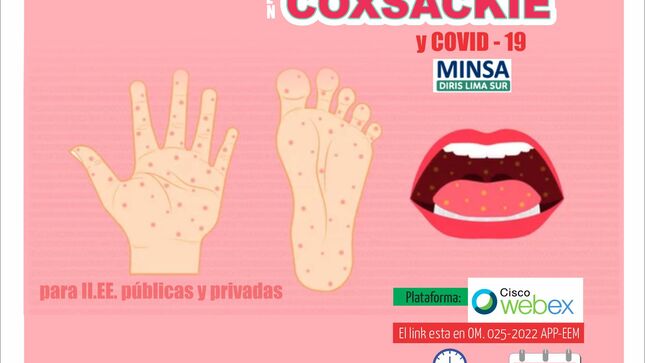 Taller de capacitación para docentes en coxsackie y covid – 19
