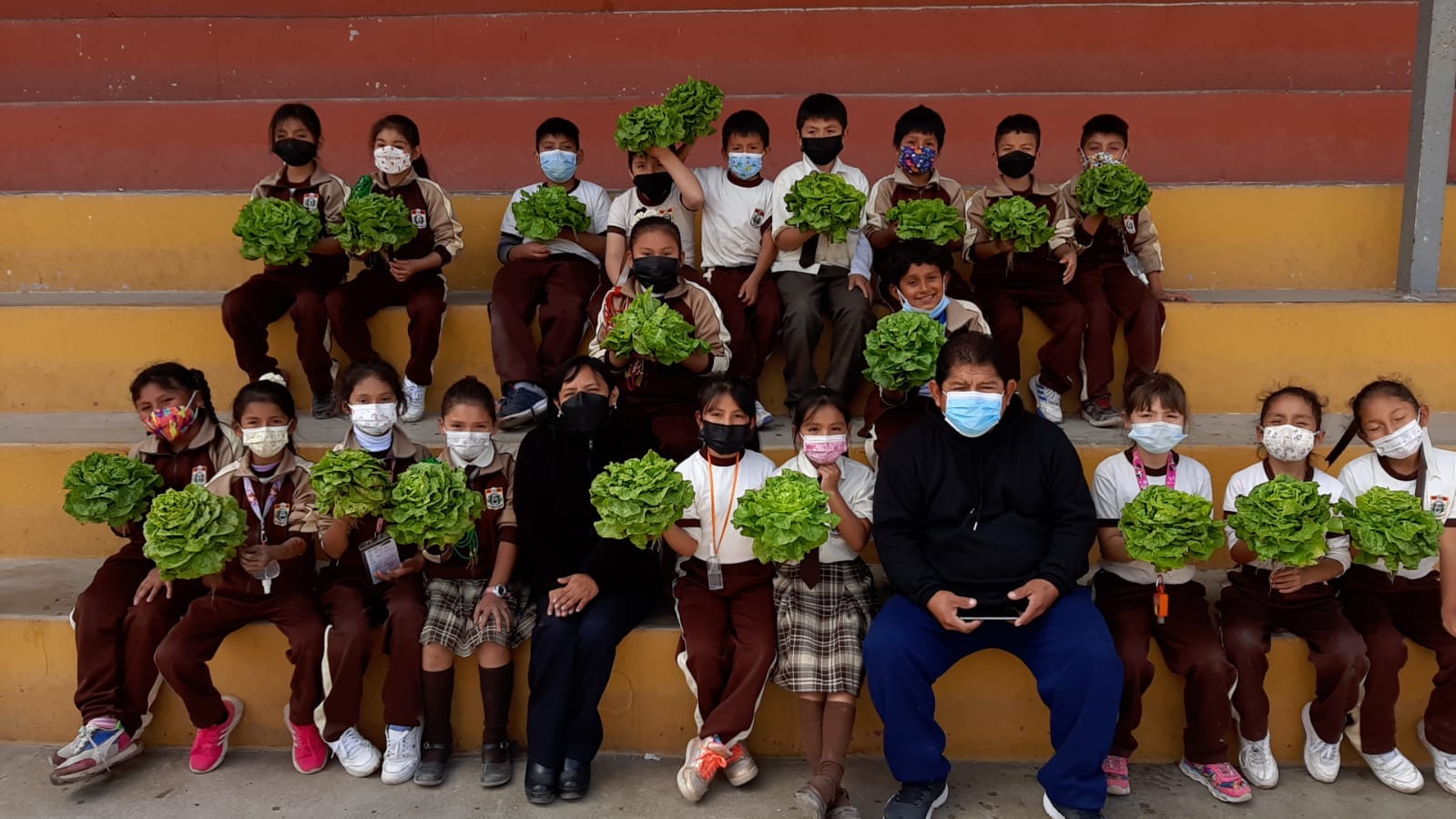 Agricultura urbana desarrollan escolares de ie 7102 de manchay