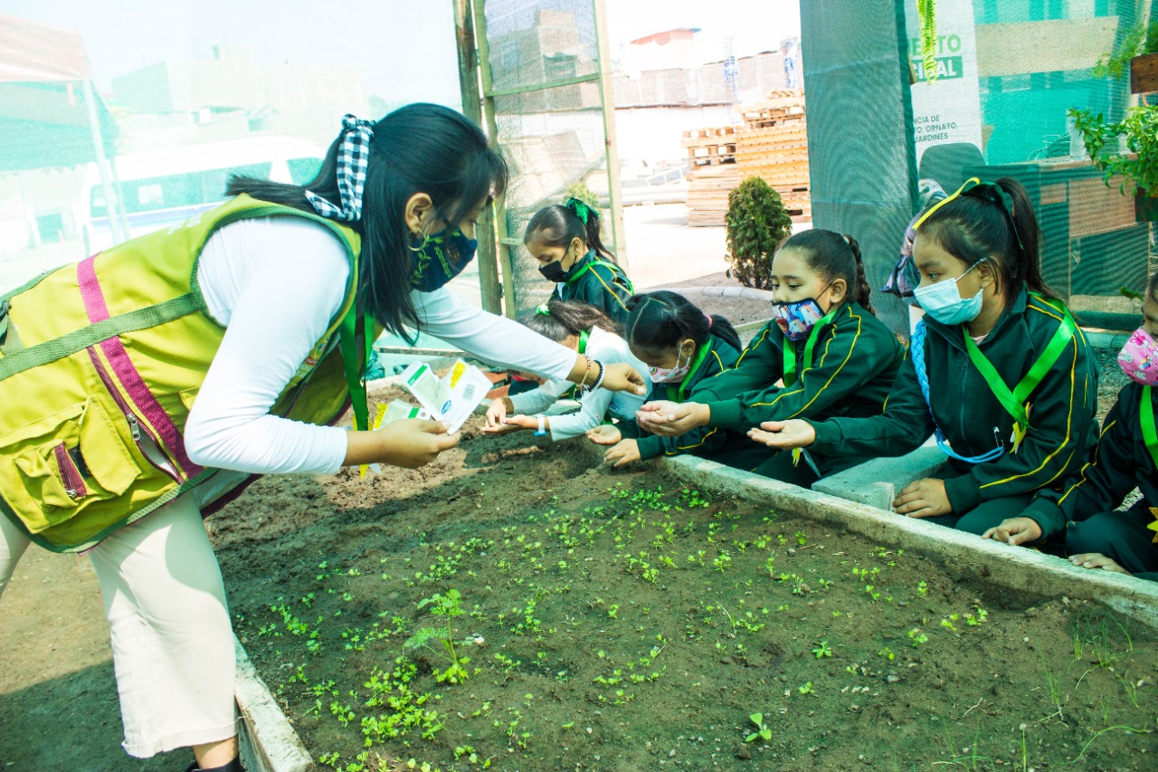 Taller de espacios verdes en el biohuerto para estudiantes de ie 6154 de lurin