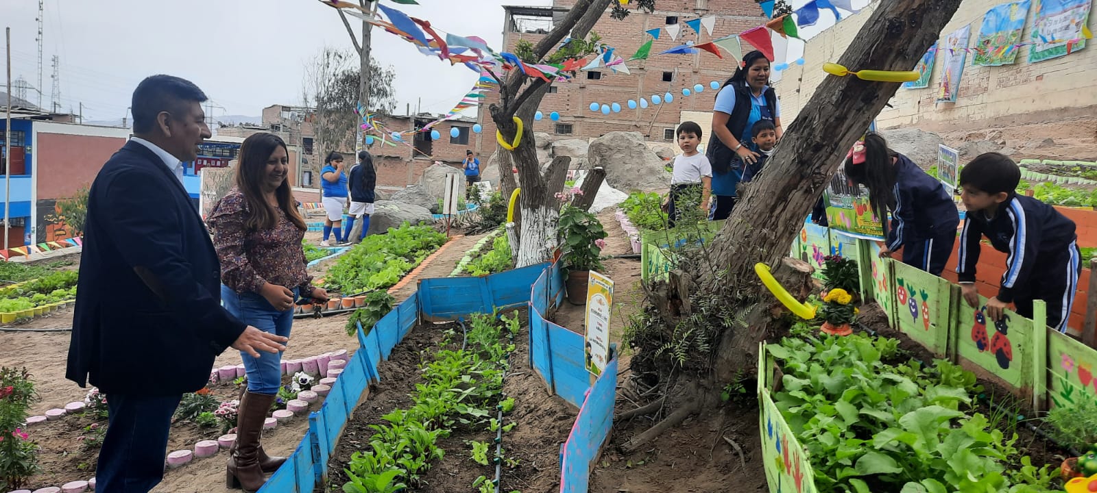 Se inauguro el huerto escolar semillitas vivas en la ie 7099 héctor pretell carbonell de sjm