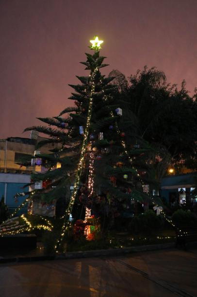 Ugel uno realizó encendido de luces del árbol institucional y del nacimiento de jesús
