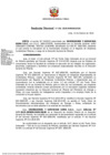 Vista preliminar de documento RD 101-2023-MINEM-DGM.pdf