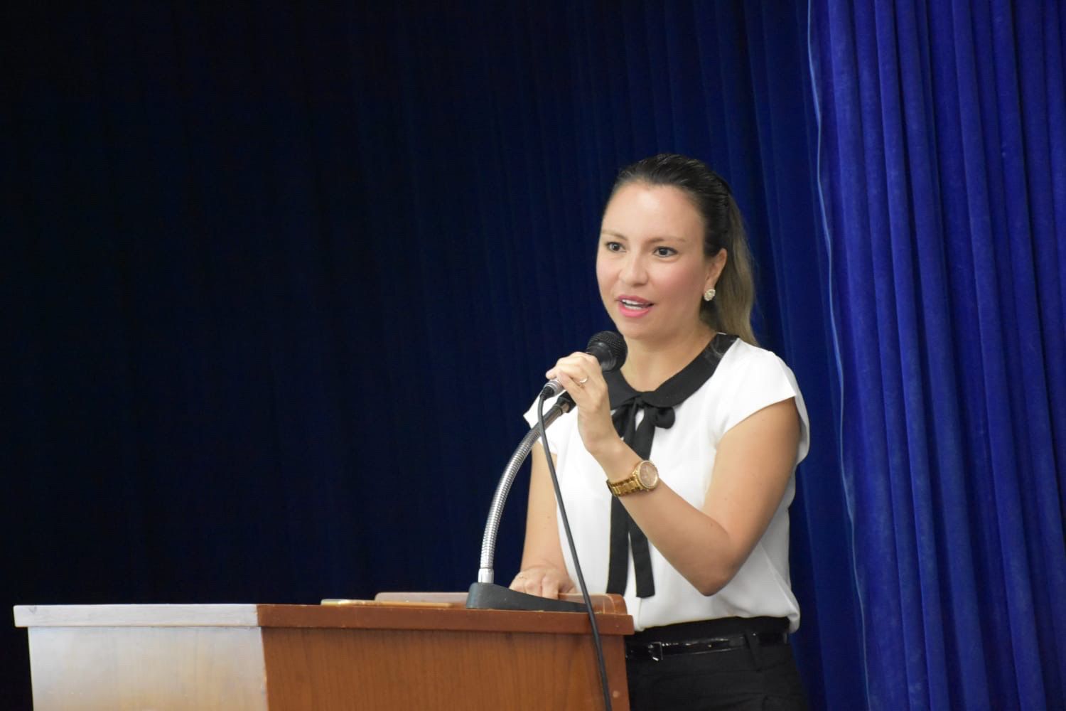 GRT organiza segunda sesión ordinaria de la Comisión Ambiental Regional
