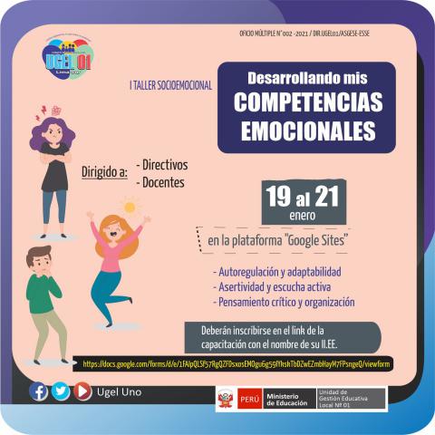I taller socioemocional: desarrollando mis competencias emocionales
