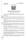 Vista preliminar de documento R.D. Nº 474-HNAL-DG-2009.pdf