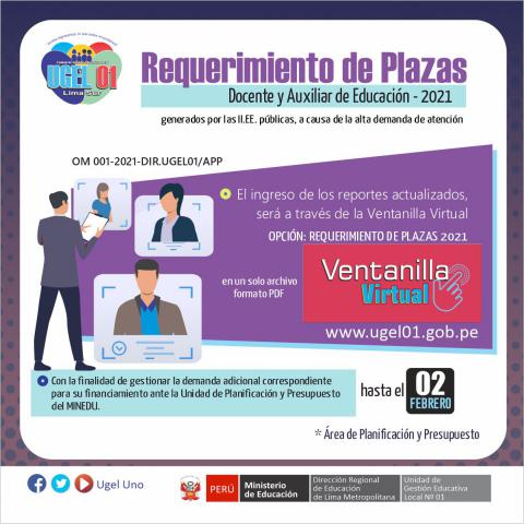 Requerimiento de plazas: docente y auxiliar de educación 2021