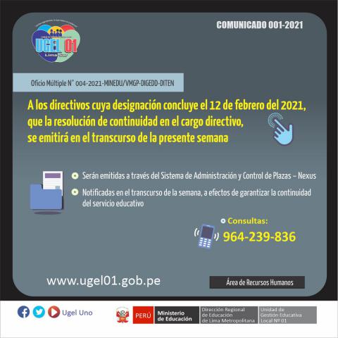 Continuidad de directores designados