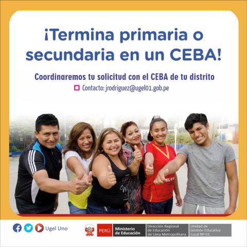 Termina tu primaria o secundaria con la básica alternativa