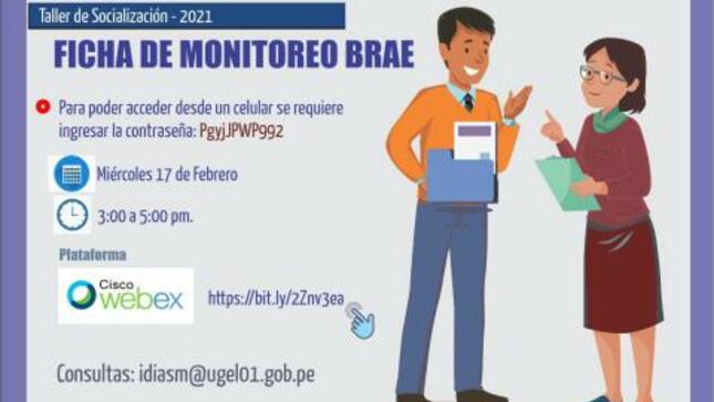 Taller de socialización: ficha de monitoreo brae 2021