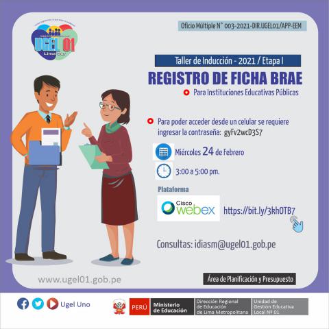 Taller de inducción: ficha brae 2021 para ii.ee. públicas