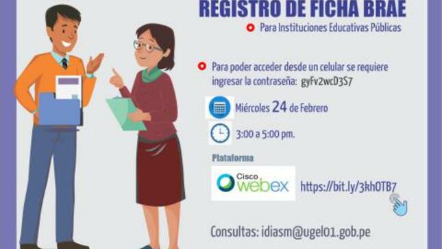 Taller de inducción: ficha brae 2021 para ii.ee. públicas