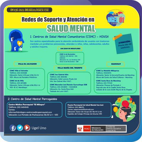Redes de soporte y atención en salud mental