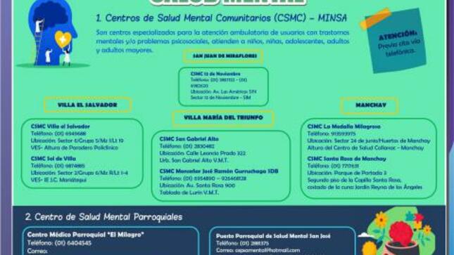 Redes de soporte y atención en salud mental