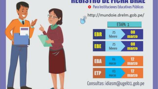Registro de ficha brae 2021 - ii.ee. públicas