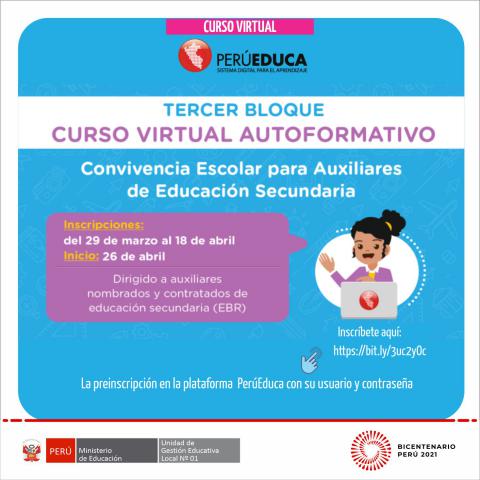 Curso virtual para los auxiliares del nivel secundaria de ebr