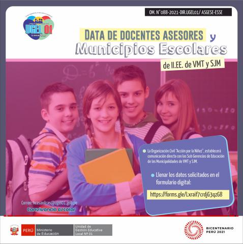 Data de los docentes asesores y municipios escolares de las ii.ee. de vmt y sjm