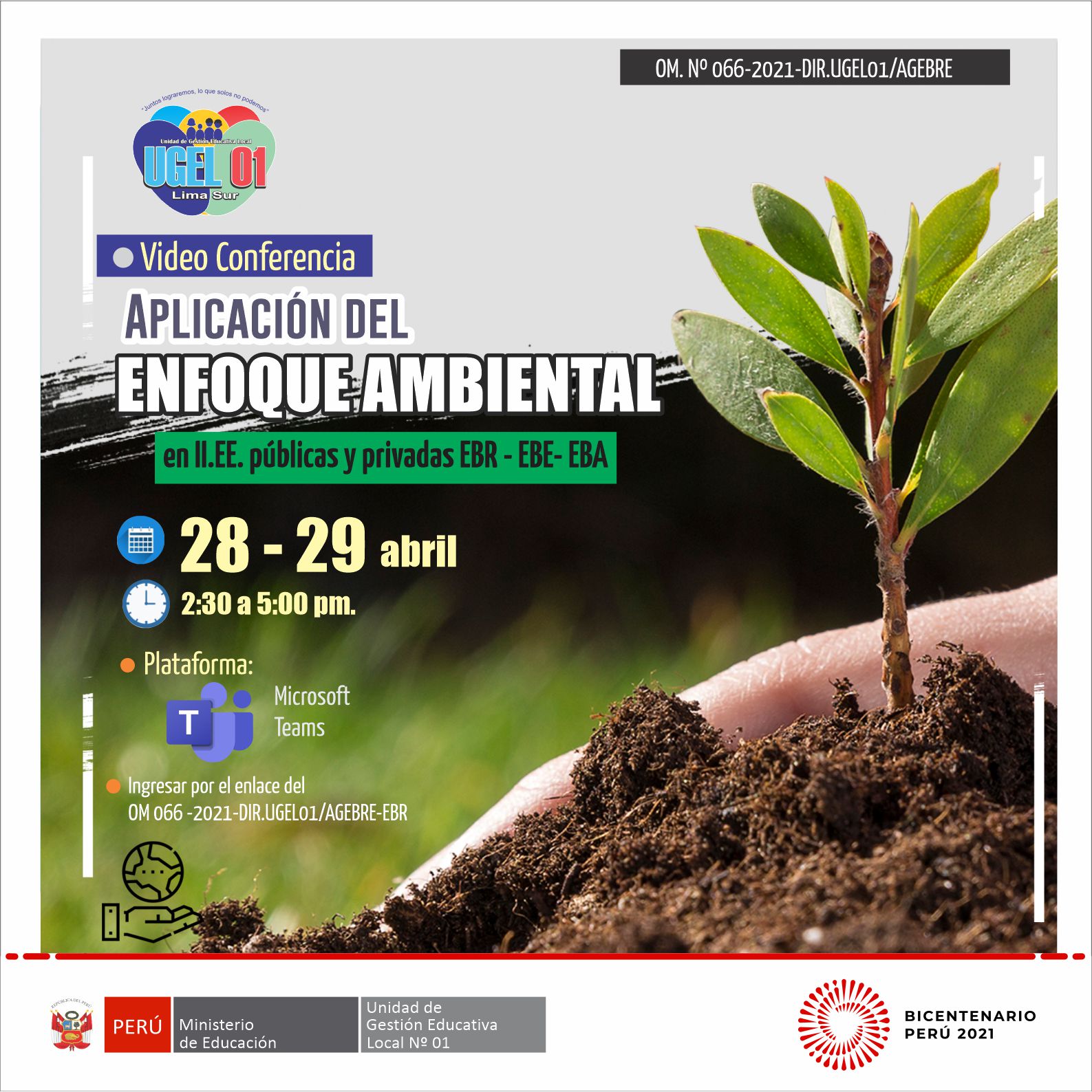 Videoconferencia: aplicación del enfoque ambiental en ii.ee. públicas y privadas