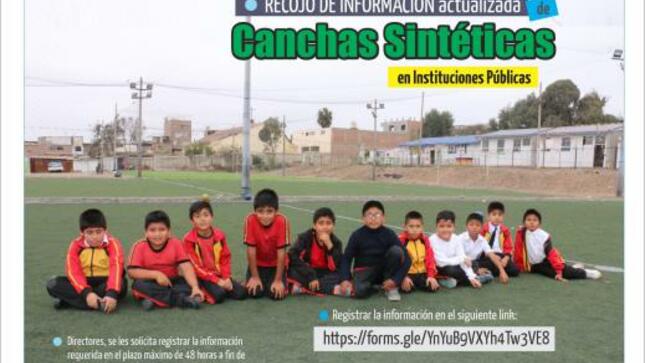 Recojo de información actualizada de canchas sintéticas en las ii.ee.
