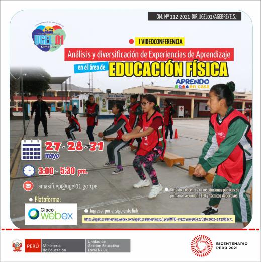 I videoconferencia: análisis y diversificación de experiencias de aprendizaje en el área de educación física