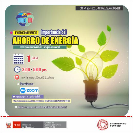 Videoconferencia sobre la importancia del ahorro de energía en la implementación del enfoque ambiental