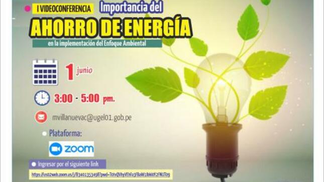 Videoconferencia sobre la importancia del ahorro de energía en la implementación del enfoque ambiental