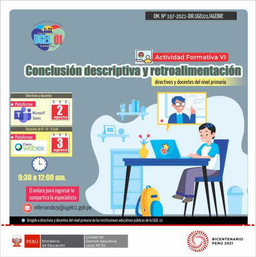 Actividad formativa vi: conclusión descriptiva y retroalimentación- nivel primaria