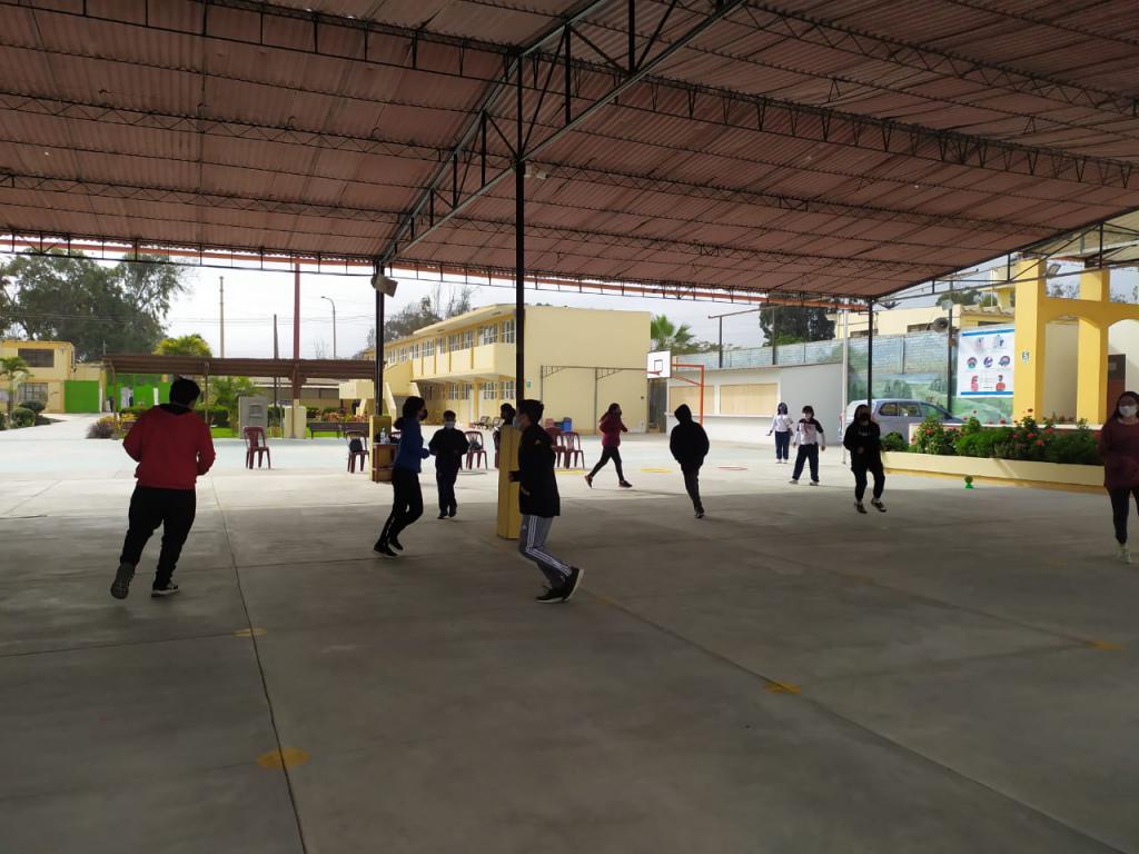 Actividades por día de la educación física en ie san pedro de lurin