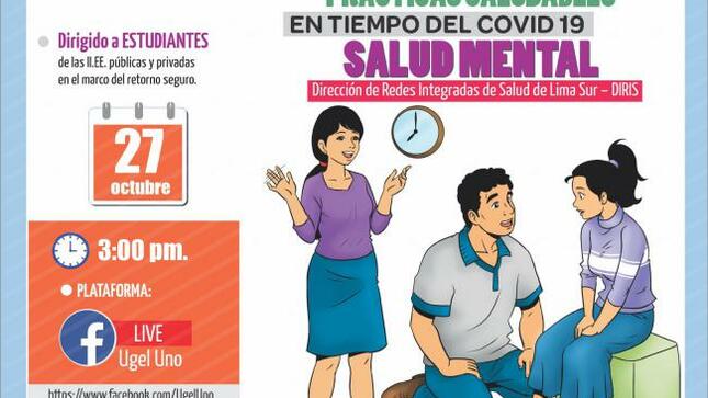 Webinar para estudiantes de las ii.ee. públicas y privadas sobre prácticas saludables en tiempo del covid 19 – salud mental