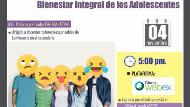Asistencia técnica en el marco orientador del bienestar integral de los adolescentes