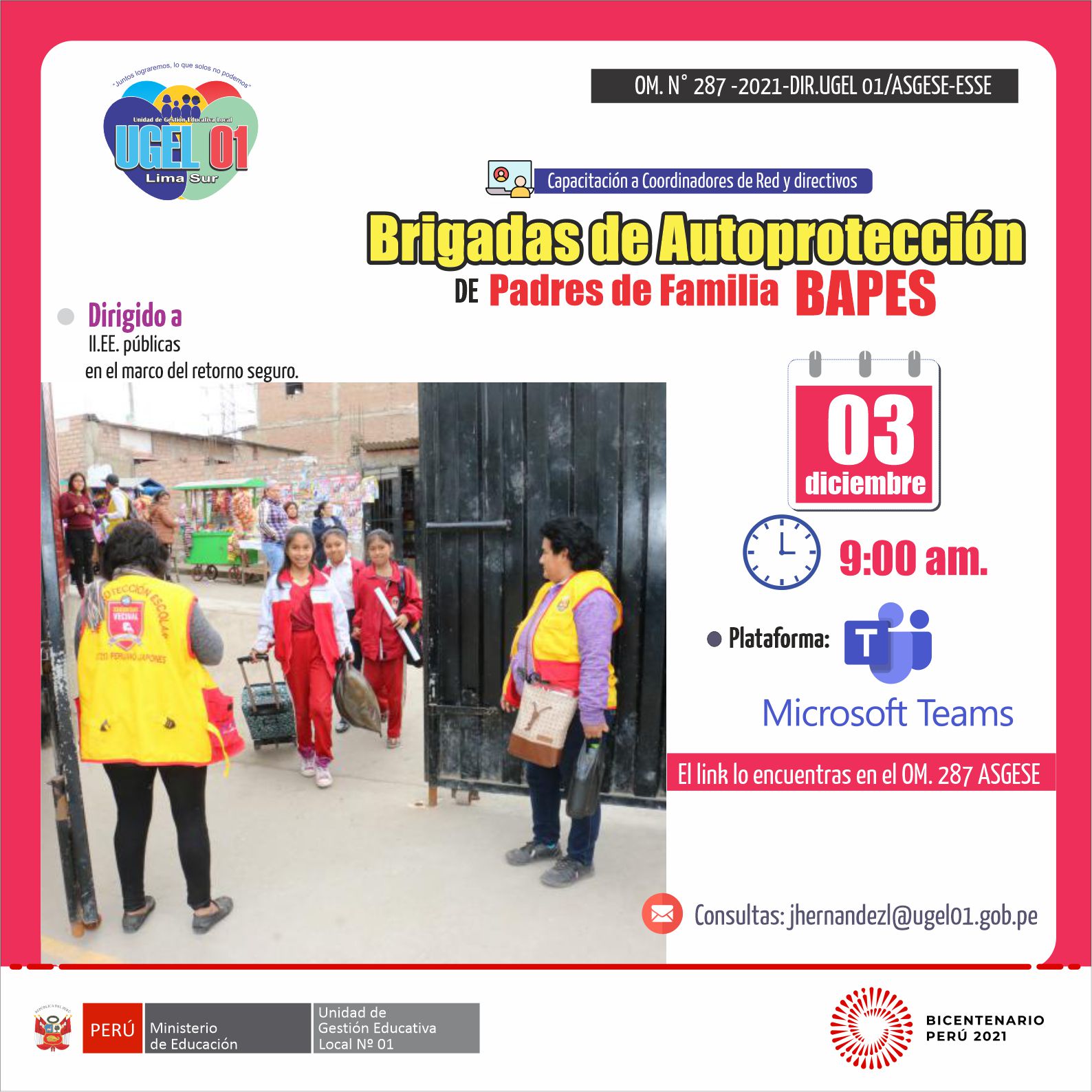 Capacitación a coordinadores de red y directivos en el marco de brigadas de autoprotección de padres de familia bapes