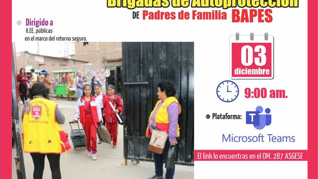 Capacitación a coordinadores de red y directivos en el marco de brigadas de autoprotección de padres de familia bapes