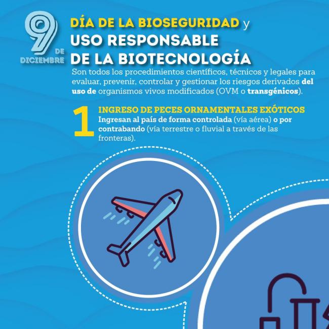 9 diciembre: día de la bioseguridad y uso responsable de la biotecnología