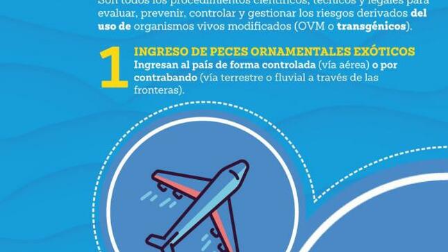 9 diciembre: día de la bioseguridad y uso responsable de la biotecnología