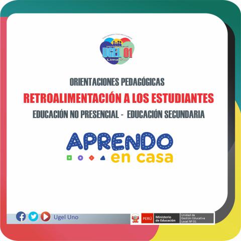 Orientaciones pedagógicas retroalimentación a los estudiantes educación no presencial - educación secundaria
