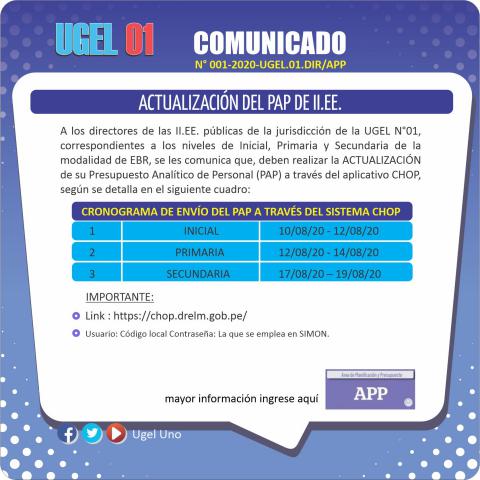 Actualización del pap de ii.ee.