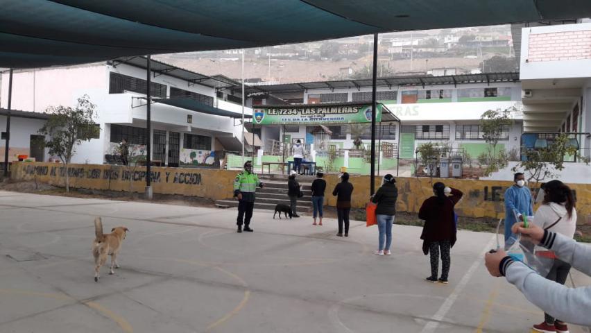 Ie 7234 las palmeras de ves