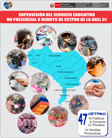 Supervisión del desarrollo de la prestación del servicio educativo no presentacial o remoto en los cetpro