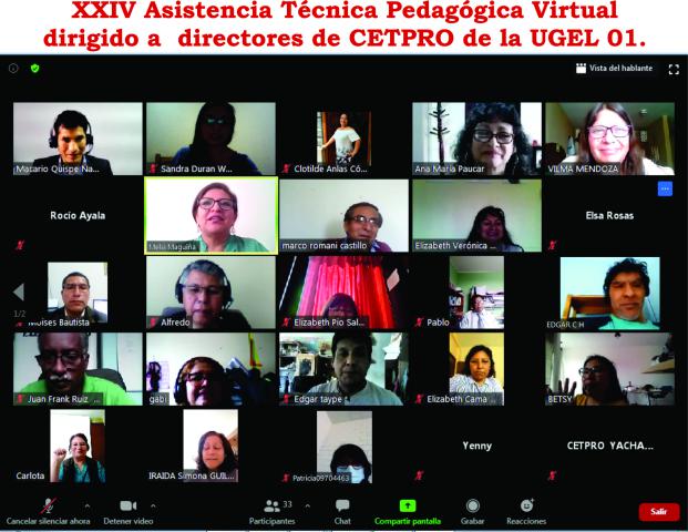 Xxiv asistencia técnica pedagógica virtual dirigido a directores de cetpro