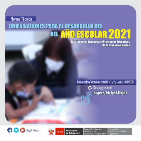 Minedu aprueba orientaciones para el desarrollo del año escolar 2021 - rvm n° 273-2020