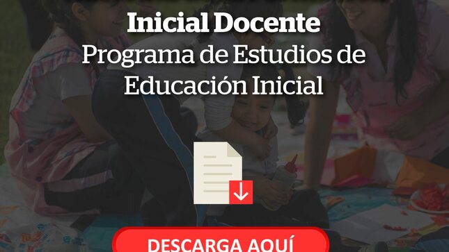 Diseño curricular basico nacional de la formacion inicial docente