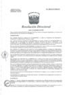 Vista preliminar de documento R.D. Nº 382-2013-HNAL-D.pdf