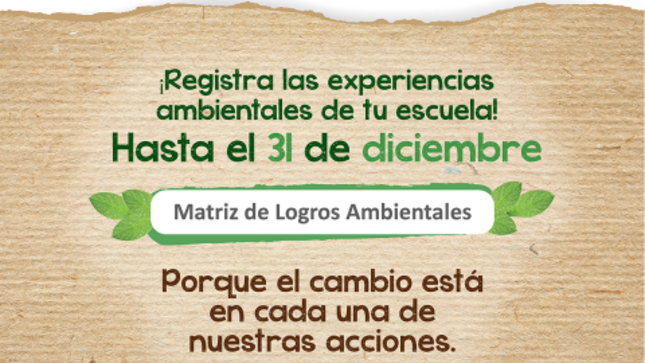 Matriz de logros ambientales