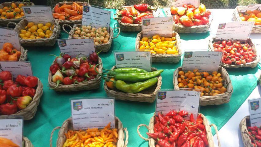 Semana nacional de las frutas y verduras para promover su consumo