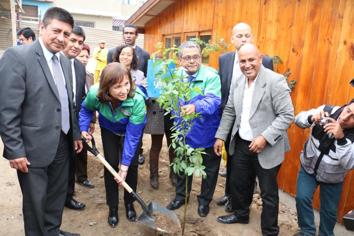 Ministra siembran arbolitos en pronoei por dia del medio ambiente