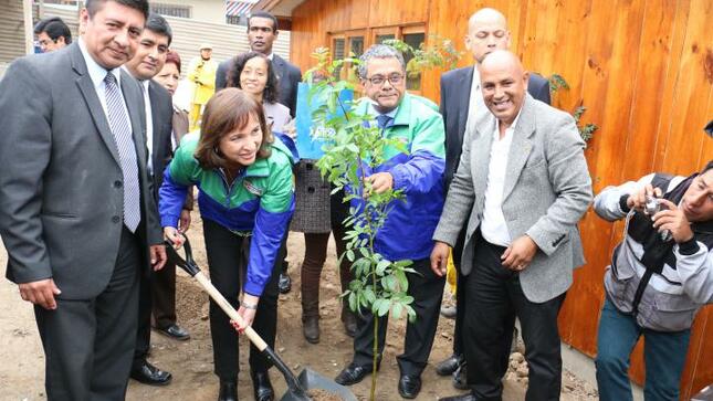 Ministra siembran arbolitos en pronoei por dia del medio ambiente