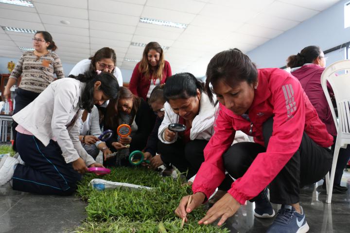 Iii taller de aprendizaje fortalece a docentes de nivel inicial